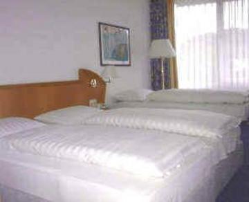 Garni Altenburgblick Hotel 3*